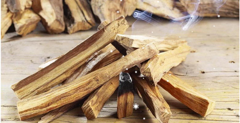 Palo Santo : le bois sacré pour purifier votre maison des énergies négatives