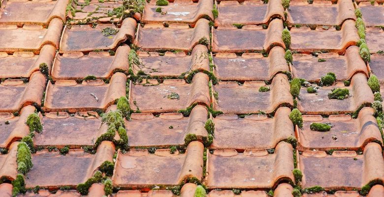 Quel est le bon moment pour rénover la toiture ?