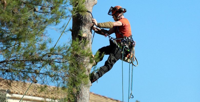 Les critères de choix d’une corde d’élagage